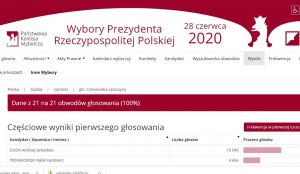 Jak głosowaliśmy?