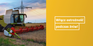 Tauron przypomina o bezpiecznych wakacjach