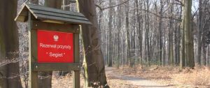 Baza rezerwatów dostępnych dla ruchu turystyczne