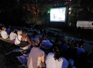 Dancing i kino plenerowe przy leszczyńskim zamecz