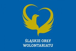 Konkurs Śląskie Orły Wolontariatu - Wolontarius