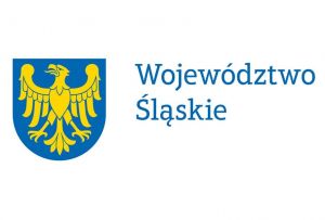 Konkurs ofert na zadania publiczne w dziedzinie ku