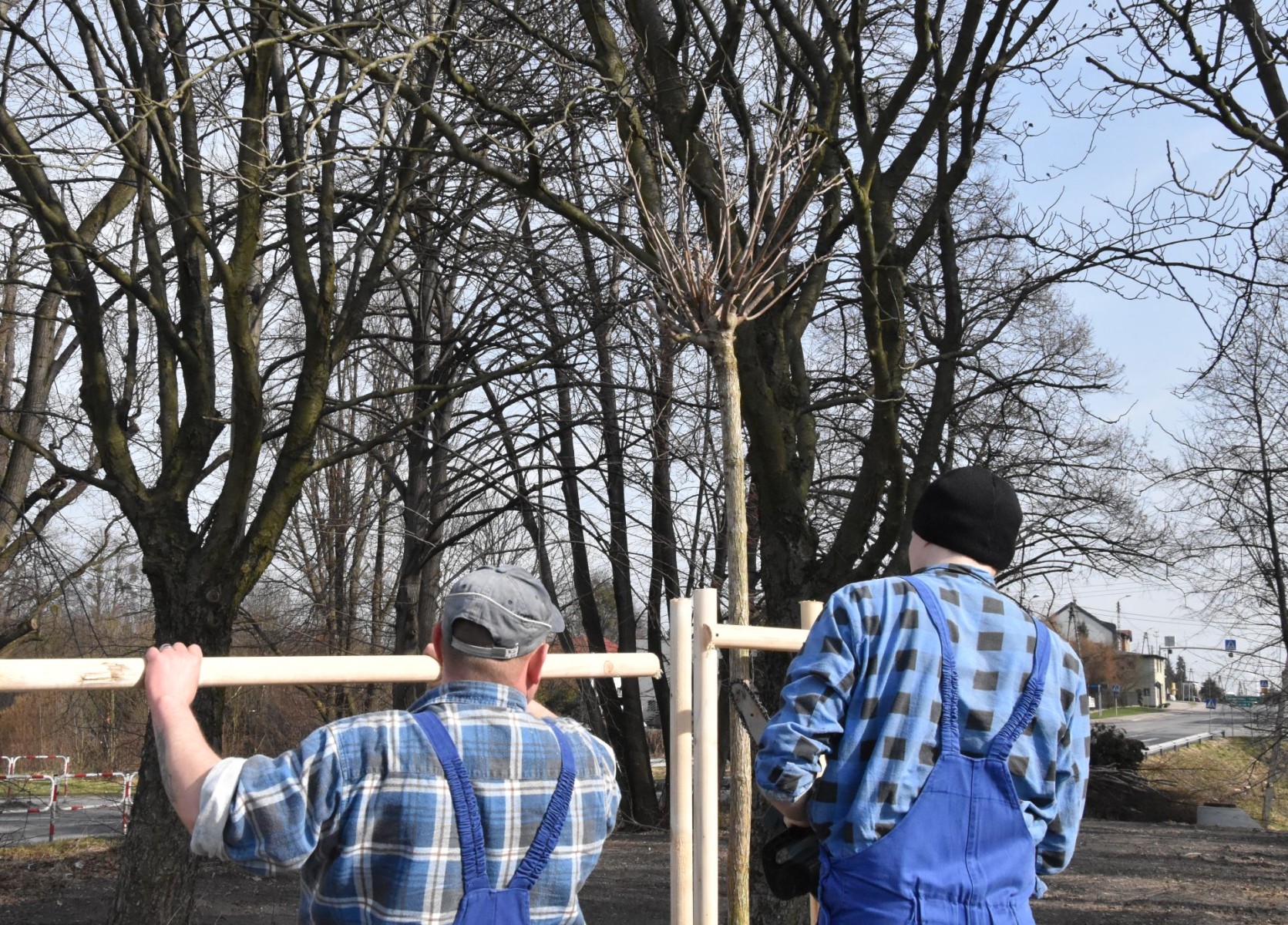 Wiosna zbliża się wielkimi krokami. Już teraz pracownicy ZDiSK-u przeprowadzają nasadzenia oraz prace porządkowe miejskich terenów zielonych.