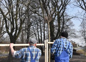 Przedwiosenne nasadzenia i prace porządkowe