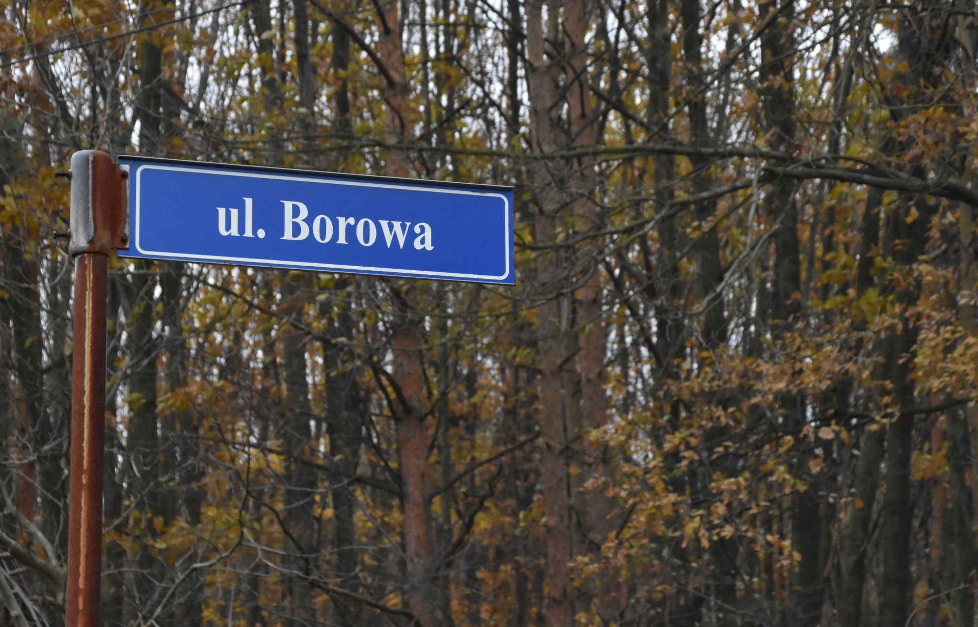 ul. Borowa