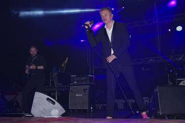 Trwa akcja ratowania kasztanowców