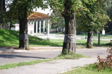 Biblioteka dla najmłodszych