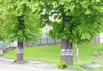 Ogłoszenie o mobilnej zbiórce zużytego sprzętu