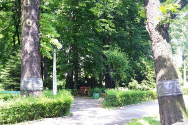 Informacja Burmistrza Gminy i Miasta Czerwionka-Le