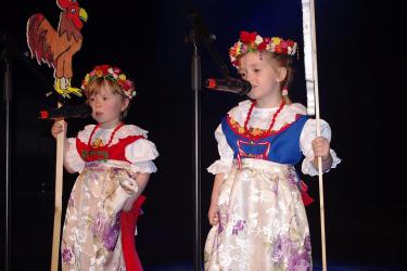 Ogłoszenie o realizacji projektu z art. 19a