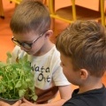 „Ogródek ze smakiem” powstał przy Przedszkolu w Bełku (4)