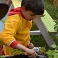 „Ogródek ze smakiem” powstał przy Przedszkolu w Bełku (9)