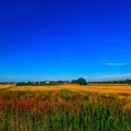  Lato w Czerwionce-Leszczynach na zdjęciach mieszkańców