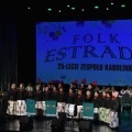Folkestrada (2)