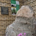 Nowe tablice na ścieżce edukacyjno-przyrodniczej „Wśród Leszczyn i śladów Bartelta”. (5)
