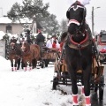Świąteczny weekend w Palowicach (6)