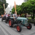 INDUSTRIADA (10)