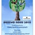 Stowarzyszenie Przyjaciół Leszczyn „Dzwon” podsumowuje miniony  rok