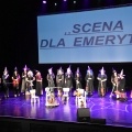 Podsumowanie projektu „Scena dla emeryta”