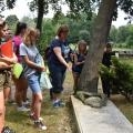 Początek prac na zabytkowym cmentarzu