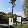 Inicjatywy sołeckie (10)