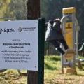 Inicjatywy sołeckie (4)