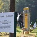 Inicjatywy sołeckie (5)