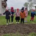 Łąki kwietnie na Dzień Ziemi (9)