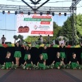 Obchody jubileuszu nadania praw miejskich (11)