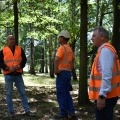 Prace w Parku Furgoła (12)