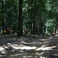 Prace w Parku Furgoła (7)