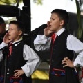 Dożynki Sołeckie i Europejskie Dni Dziedzictwa w Bełku  (15)