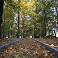 Park Furgoła się zmienia (2)