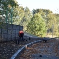 Park Furgoła się zmienia (8)