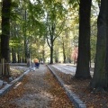 Park Furgoła się zmienia (10)