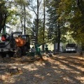 Park Furgoła się zmienia (8)