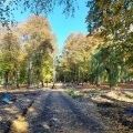 Park Furgoła się zmienia (11)