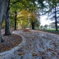 Park Furgoła się zmienia (12)