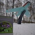 Podsumowanie prac w Parku Furgoła (12)
