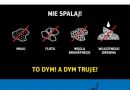 graf02.jpg