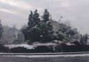 dekoracje02.jpg